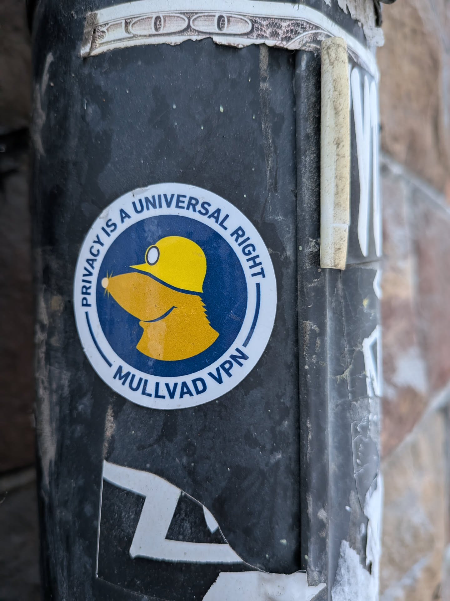 A circular sticker featuring a stylized profile of a mole's head, facing left, wearing a yellow hard hat with a headlamp. The mole is depicted in a warm yellow-orange hue, set against a dark blue circular background. A white outer ring frames the central image, containing text in dark blue. The top arc of the white ring reads 'PRIVACY IS A UNIVERSAL RIGHT', and the bottom arc reads 'MULLVAD VPN'. The sticker appears slightly worn and is affixed to a dark, textured pole.
