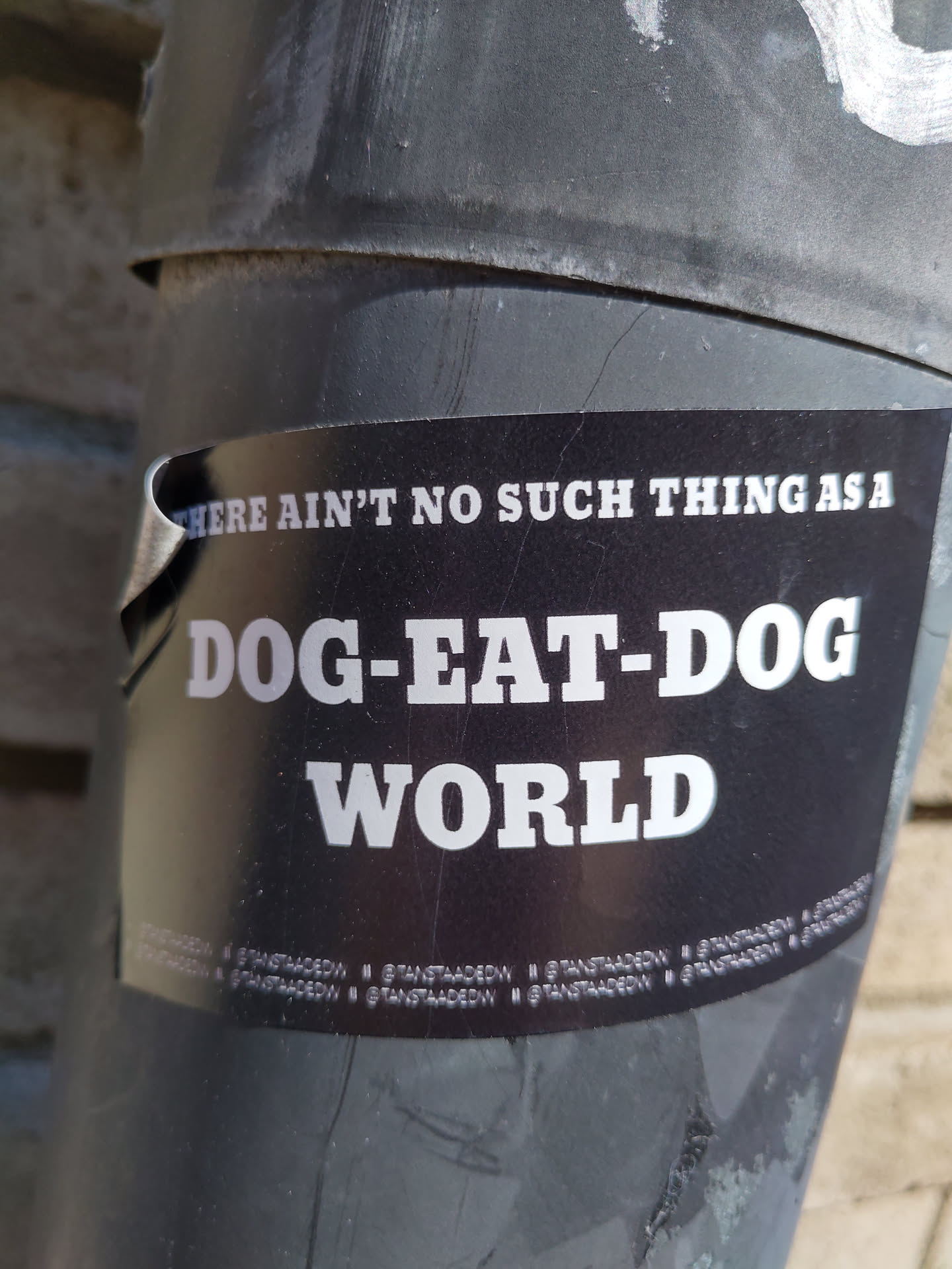 A black and white sticker with a quote about the dog-eat-dog world. The sticker is attached to a gray pipe.