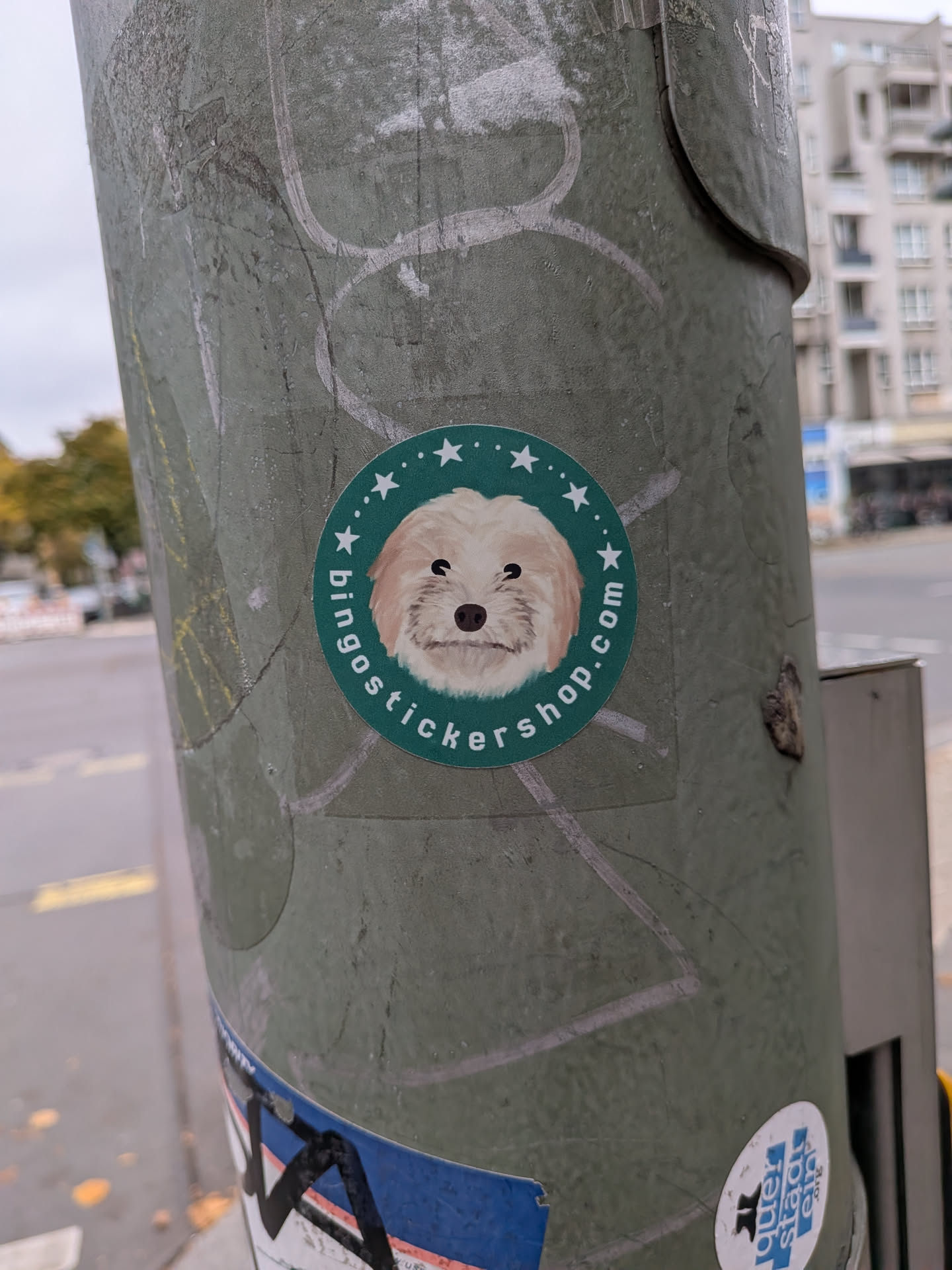 A round green sticker styled similarly to a coffee brand logo. At the center is a digital illustration of a fluffy, light-furred small dog with dark eyes and a black nose. Above the dog's head is an arc of white five-pointed stars separated by small dots, and along the lower edge, the text 'bingostickershop.com' is written in lowercase white lettering.