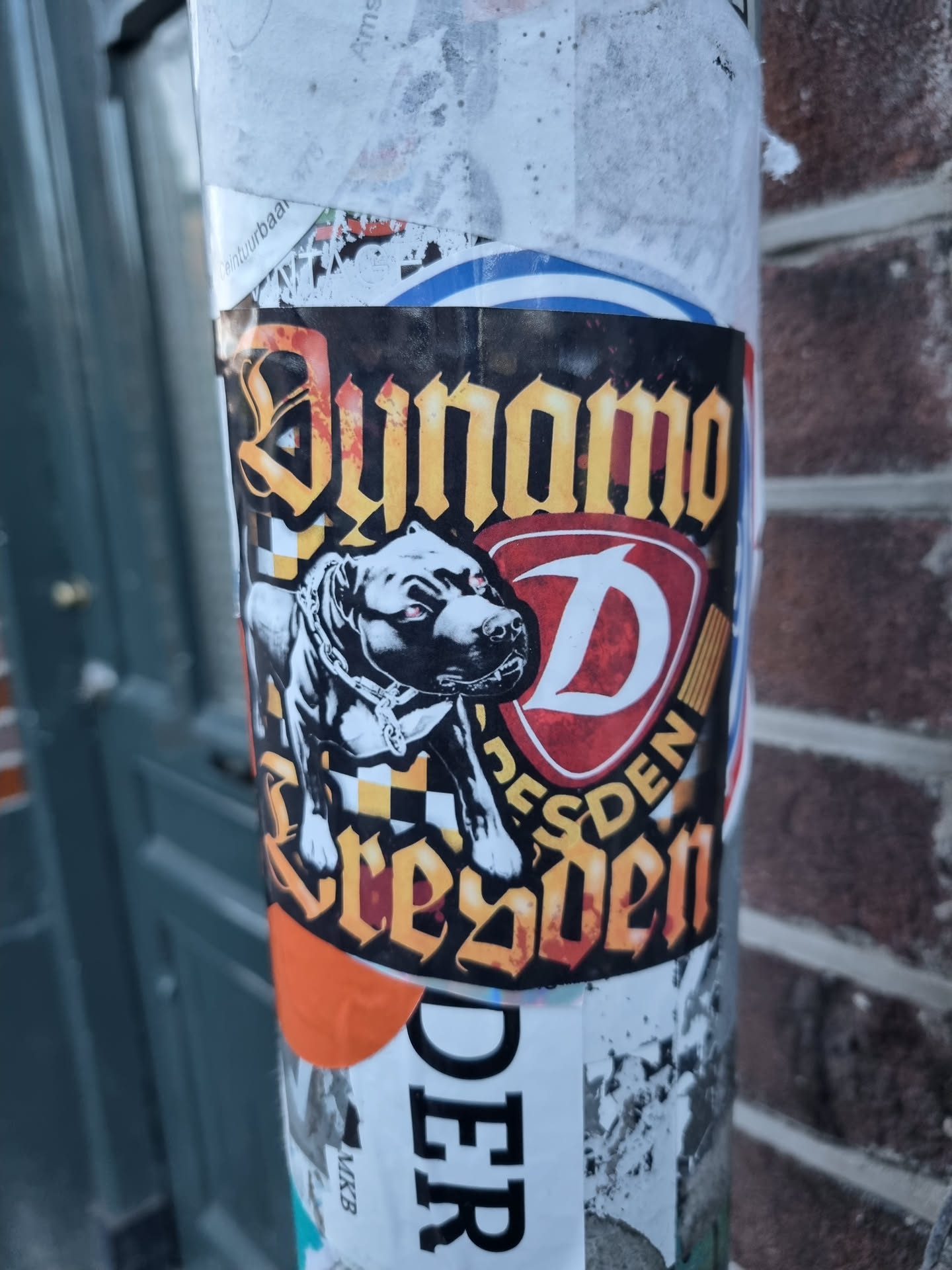 A sticker featuring the logo of the German football club Dynamo Dresden. The design includes the team's name in stylized lettering, a bulldog mascot, and the club's abbreviation. The sticker is applied to a pole in an urban environment.