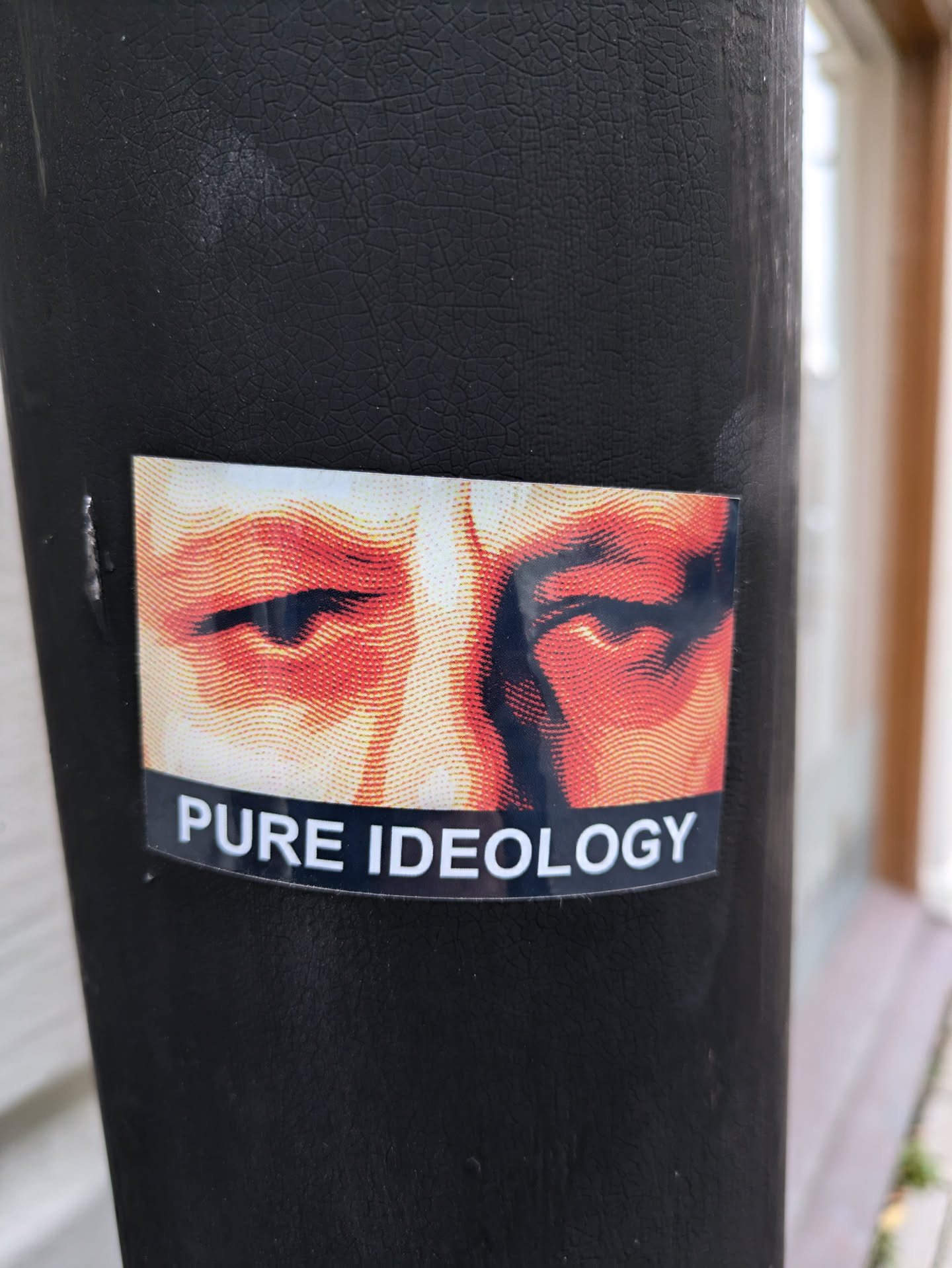 Close-up of a sticker featuring a stylized image of a person's eyes and the text "PURE IDEOLOGY". The sticker has a slightly worn look and is affixed to a dark-colored pole.