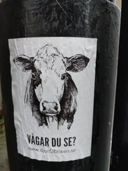 A black and white illustration of a cow's face on a white sticker.  Text at the bottom reads "Vågar du se?" and a website address.