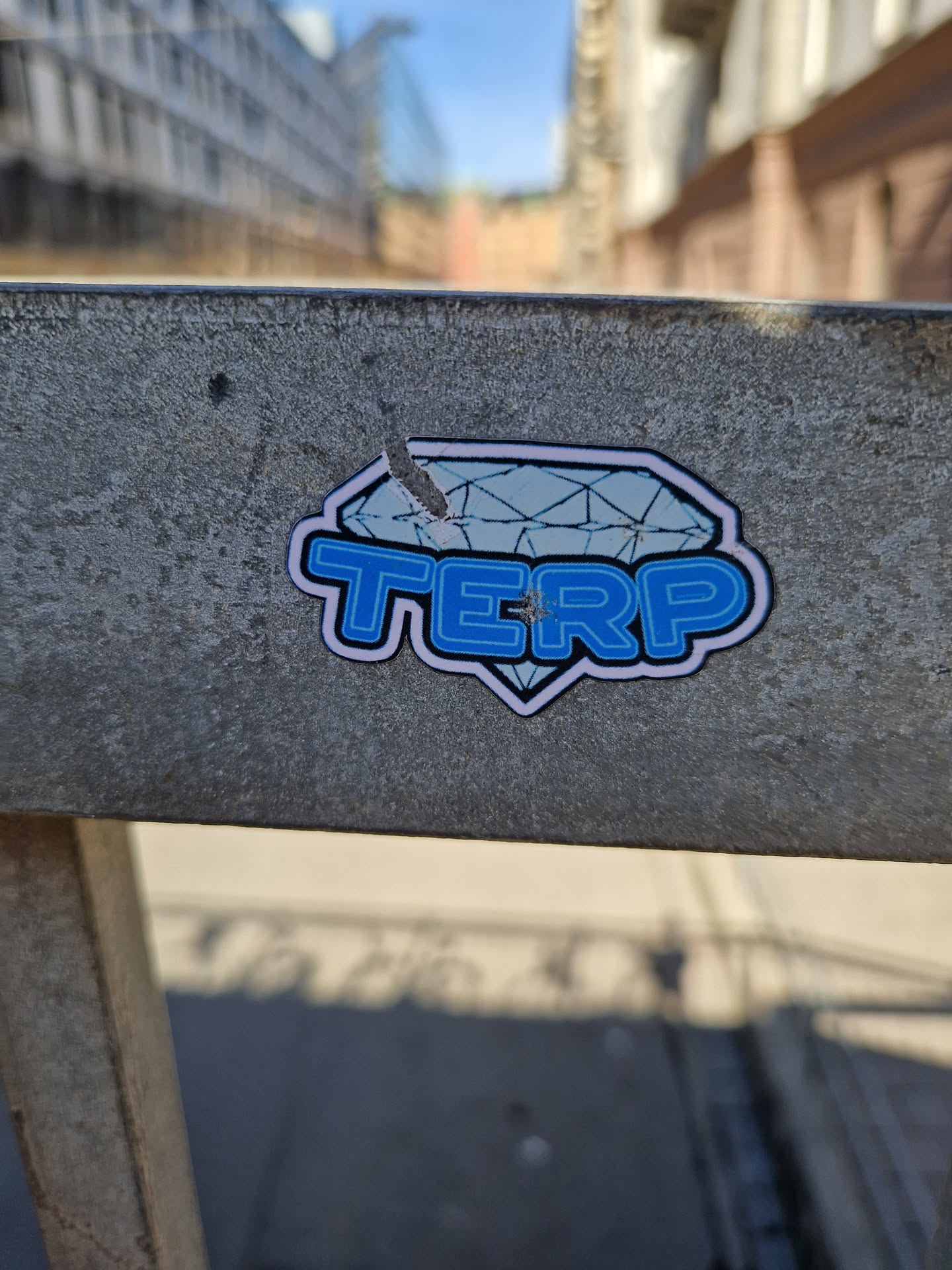 A sticker featuring a blue diamond with the word TERP written in a stylized font. The sticker is affixed to a weathered gray surface outdoors.