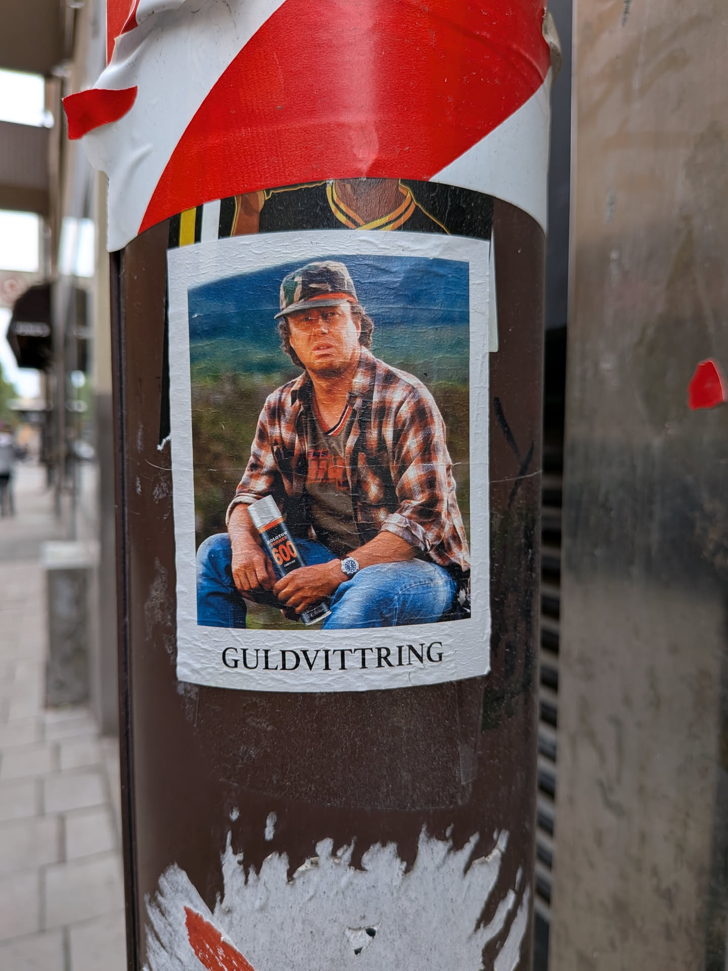 A rectangular sticker with a white border showing a man in a camo cap, glasses, and a plaid shirt sitting outdoors. He holds a Molotow Burner 600 spray can. The Swedish word 'GULDVITTRING' is printed at the bottom.