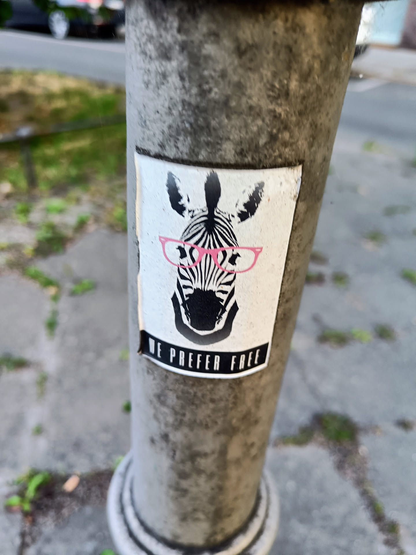 A sticker featuring a zebra with pink glasses and the phrase 'We prefer free'. The sticker is affixed to a weathered gray pole.