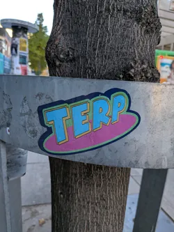 The sticker features the word 'TERP' in large, bold, capital letters. The letters are a bright cyan blue with a yellow outline and a thin dark blue border. The word is set against a pink oval shape, which is then outlined in a lime green color. The overall design has a retro, graphic style.