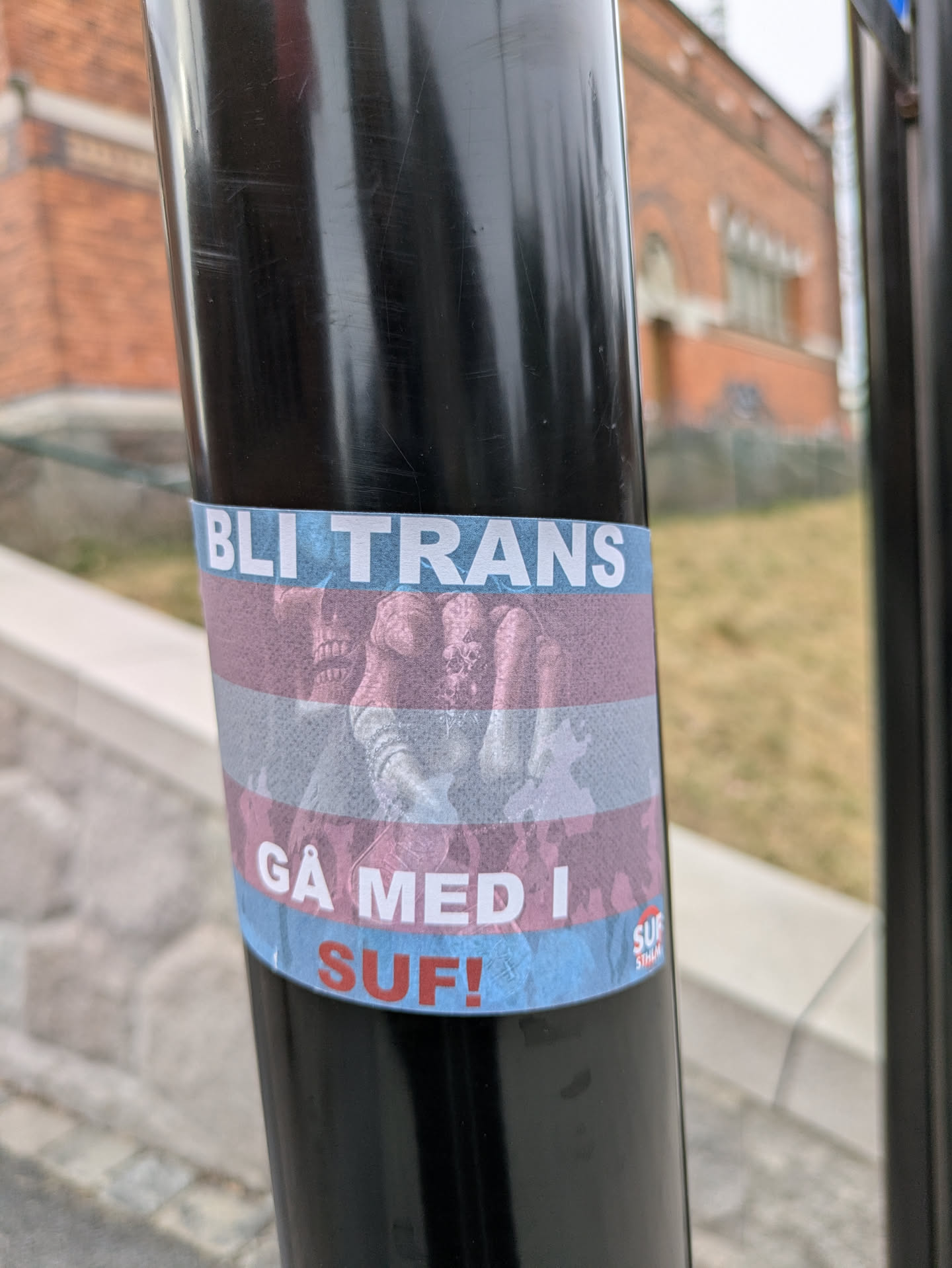 The sticker features the colors of the trans flag (light blue, pink, and white stripes) with text that reads "BLI TRANS GÅ MED I SUF!" and a crowd below the text.