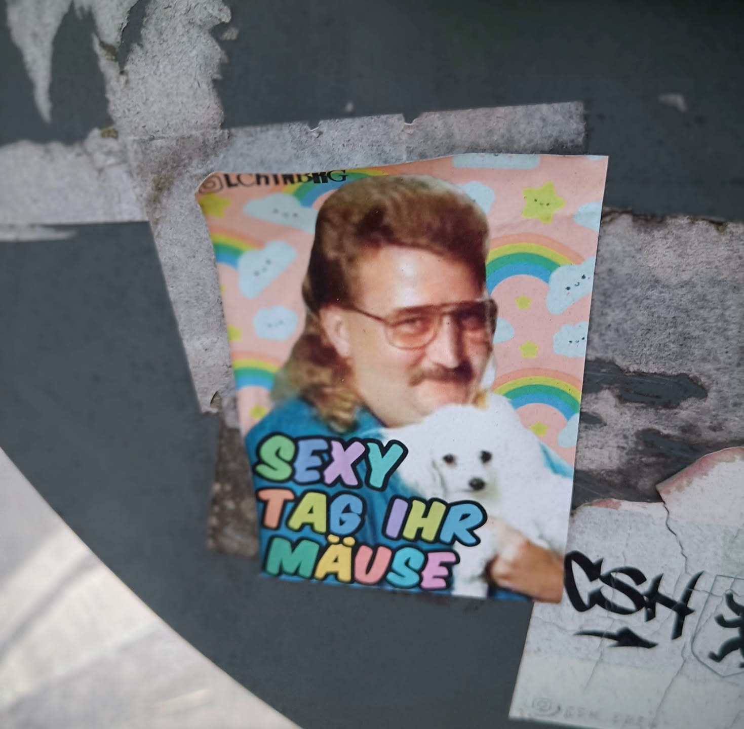 A sticker featuring a man with a mullet and a small white dog. The background is pastel pink with rainbows and clouds. The text on the sticker says "SEXY TAB IHR MÄUSE" in colorful letters.