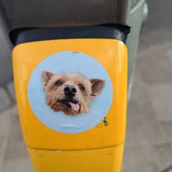 A round sticker featuring a Yorkshire Terrier with its tongue out. The sticker is light blue with a white border and is affixed to a bright yellow surface.