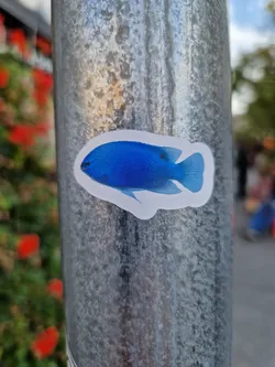 A small sticker featuring a blue fish, possibly a type of cichlid, is affixed to a weathered metal pole. The sticker is simple, with a white background and a detailed depiction of the fish.