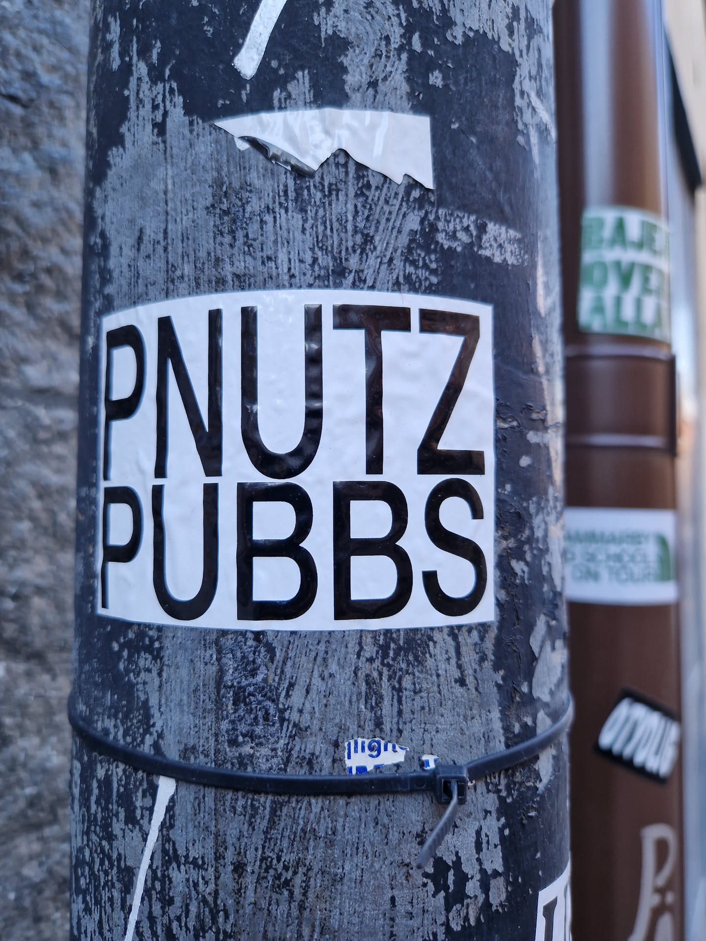 A black and white sticker with the text PNUTZ PUBBS on a weathered pole. 