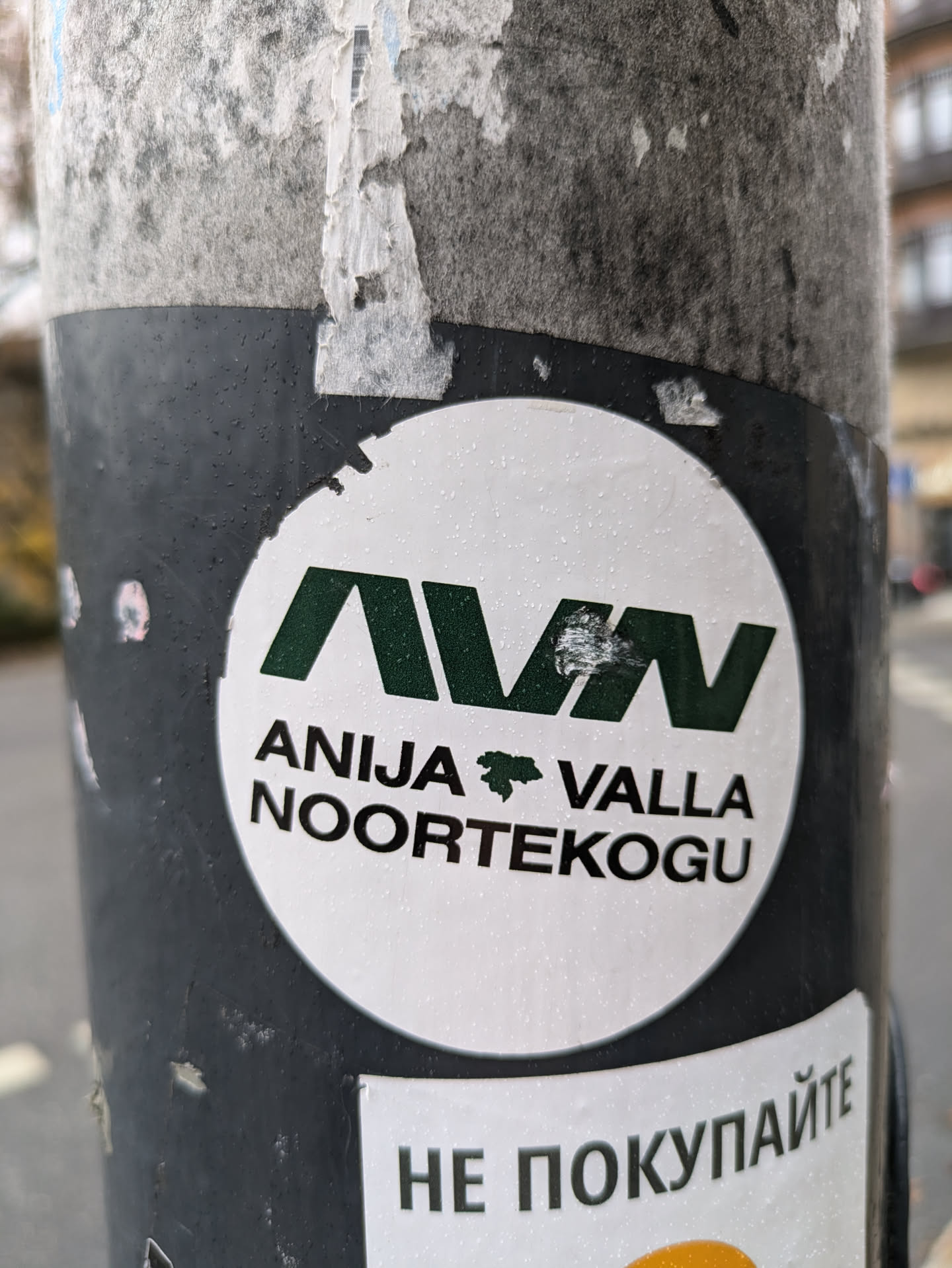 A round sticker featuring the acronym AVN, which stands for Anija Valla Noortekogu (Anija Parish Youth Council). The sticker is white with dark green lettering and a small map-like symbol. It is stuck on a dark-colored pole.