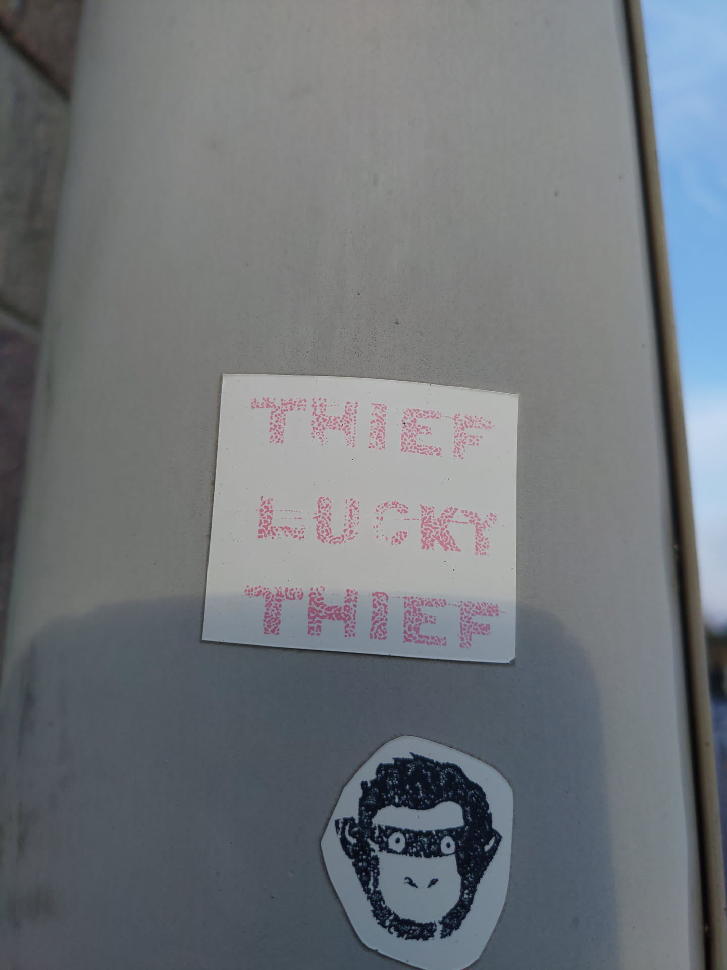 A sticker with the words "Thief Lucky Thief" written in pink and a small illustration of a monkey wearing a mask below it.
