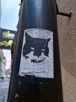 A partially peeled, weathered sticker of a wolf's head in black and white. The sticker is adhered to a dark-colored pole, and some of the edges are peeling off, revealing the surface underneath. The wolf's face is stylized and has a slightly menacing appearance.