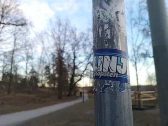 The sticker is rectangular with a dark blue background and a lighter blue border. The main text, 'TINS', is prominently displayed in large, white, blocky letters with a light blue outline or shadow. The letters have a distressed or cracked appearance, resembling a graffiti style. Below 'TINS', the word 'Ropsten' is written in a smaller, simpler, white sans-serif font, also with a light blue outline. The sticker shows signs of wear, with some peeling and fading, particularly along its bottom edge, and is affixed to a grey metal pole.