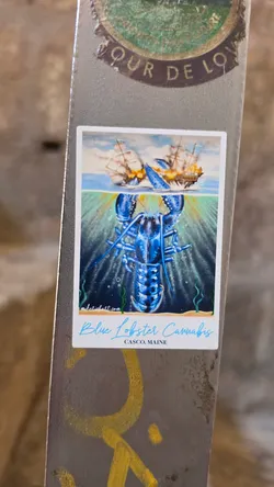 Street sticker 