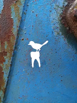 A white stencil of a bird perched on a tooth, applied to a blue rusty surface. The image is minimalistic and symbolic. 