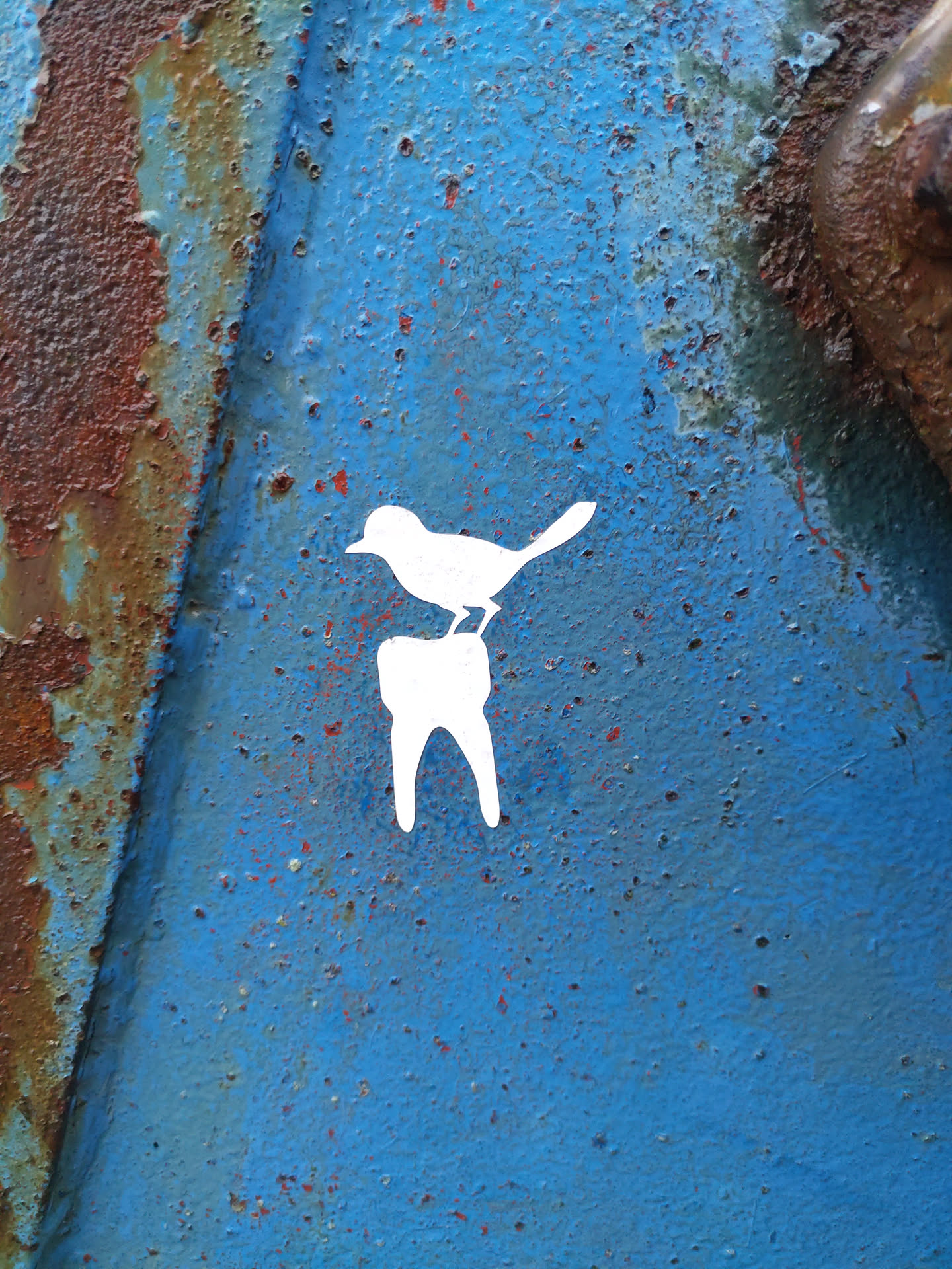 A white stencil of a bird perched on a tooth, applied to a blue rusty surface. The image is minimalistic and symbolic. 