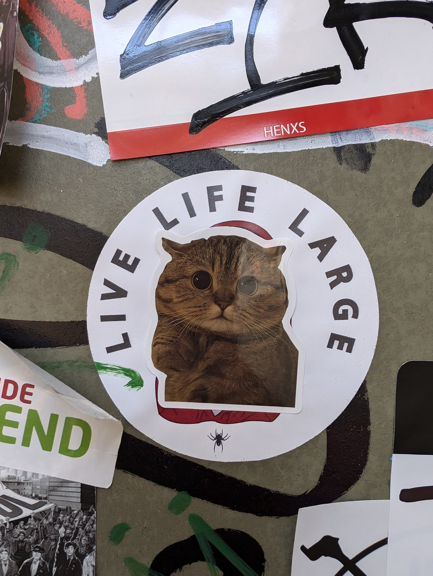 A round sticker featuring a cat with the text "Live Life Large" around it. A small spider is visible at the bottom.