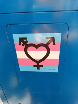 A sticker featuring a heart symbol combined with transgender symbols, set against the transgender flag colors.  The website queerspace.de is visible at the bottom.