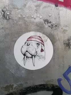 A circular white sticker featuring a black and white line-art illustration of a walrus's head. The walrus has prominent tusks, whiskers, and a wrinkled snout, depicted with a slightly serious or contemplative expression. It is wearing a red knitted beanie hat with horizontal ribbing and a small red tassel hanging from the side. Below its right ear, the words 'SEA WEED' are written in a simple, hand-drawn font. The overall style is whimsical and detailed, resembling a sketch.