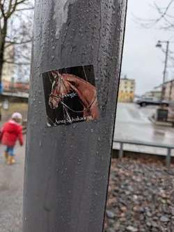 The sticker displays a close-up portrait of a chestnut or bay horse's head and neck, facing slightly to the left. The horse is wearing a dark bridle with metallic accents. Its eye is visible, and its mane is neatly braided. The background of the horse image is dark, almost black. The sticker itself is rectangular, with slightly worn and curled edges, particularly at the bottom left. It is affixed to a wet, dark grey pole, and several water droplets are visible on its surface, indicating it's outdoors and exposed to the elements.