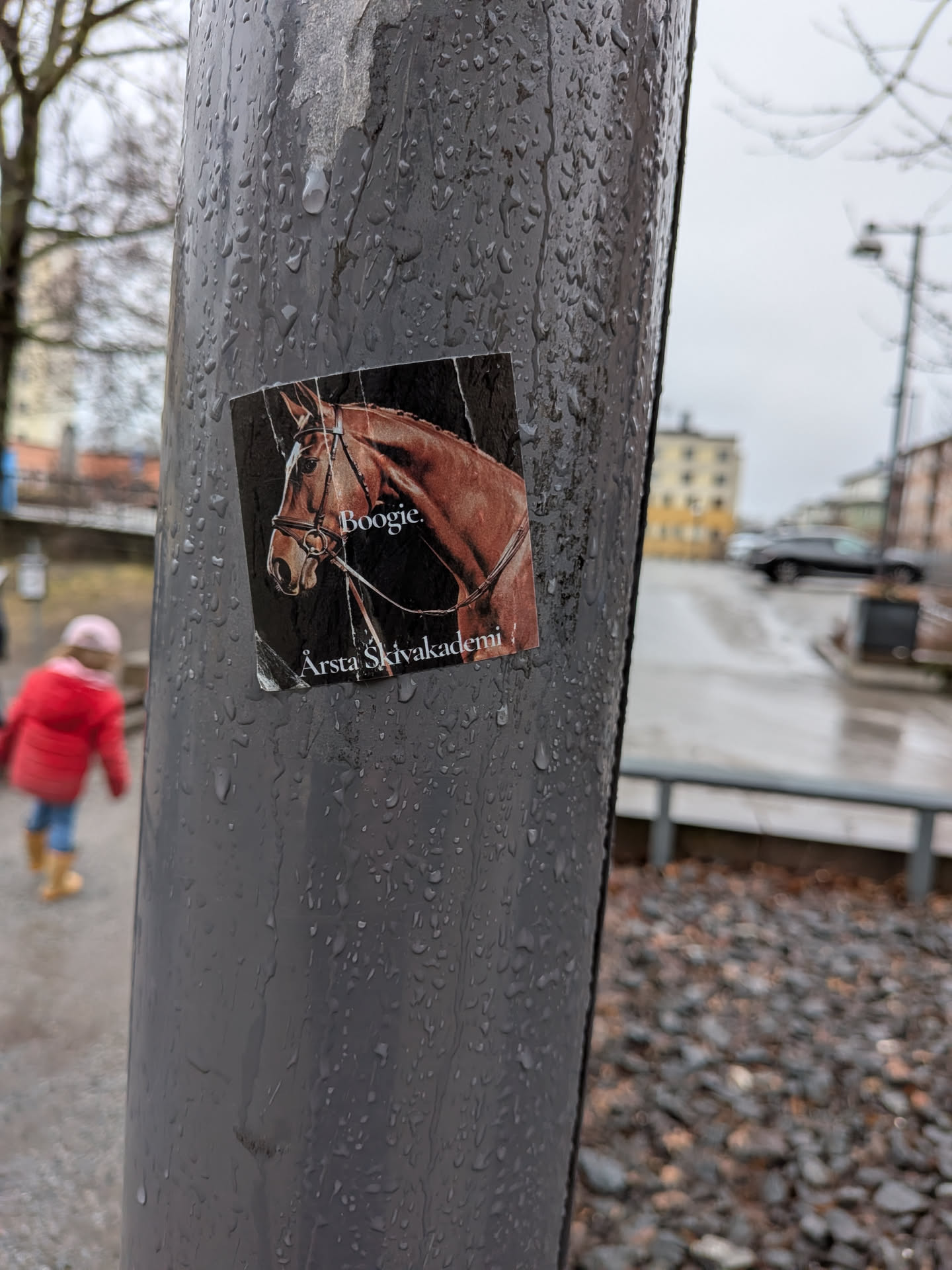 The sticker displays a close-up portrait of a chestnut or bay horse's head and neck, facing slightly to the left. The horse is wearing a dark bridle with metallic accents. Its eye is visible, and its mane is neatly braided. The background of the horse image is dark, almost black. The sticker itself is rectangular, with slightly worn and curled edges, particularly at the bottom left. It is affixed to a wet, dark grey pole, and several water droplets are visible on its surface, indicating it's outdoors and exposed to the elements.