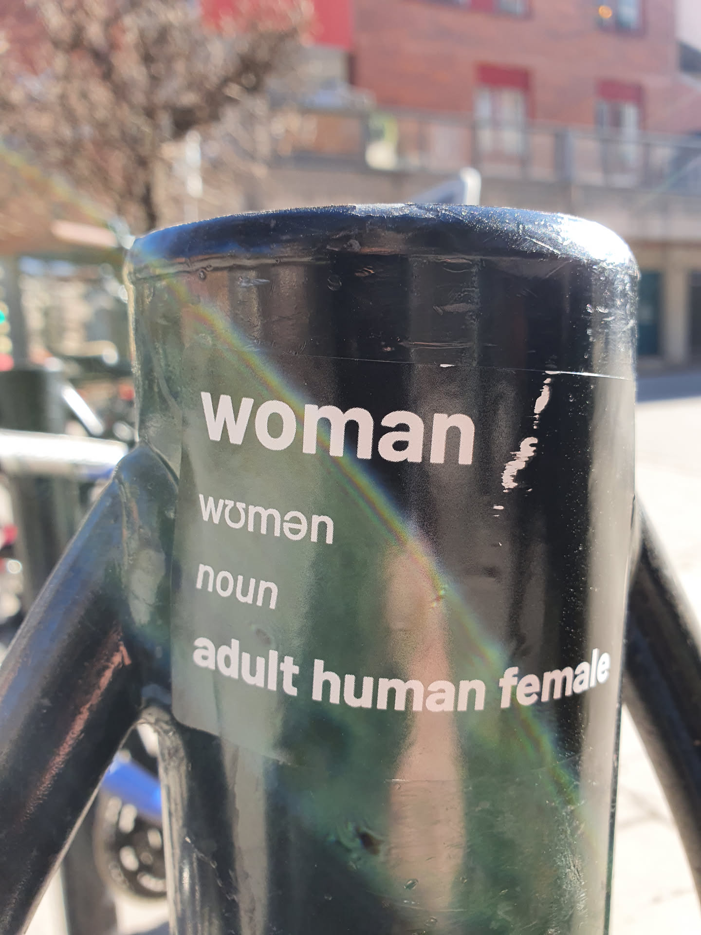 A sticker on a dark-colored metal pole. The sticker has the word woman in large letters at the top, and underneath it, the words women, noun, and adult human female, each on a separate line. The words are in white against a transparent background.