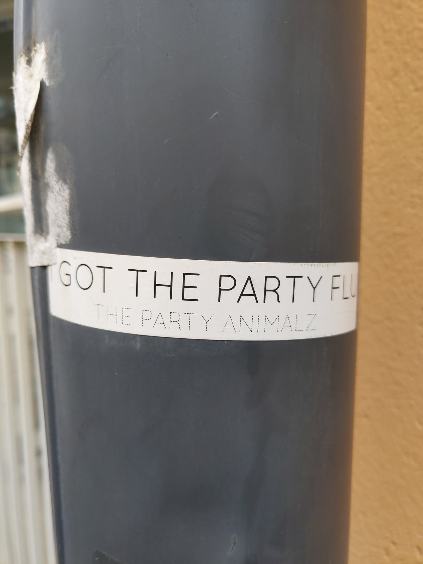 A white sticker on a dark gray pipe. The sticker has the text "GOT THE PARTY FLU" on the top and "THE PARTY ANIMALZ" on the bottom.