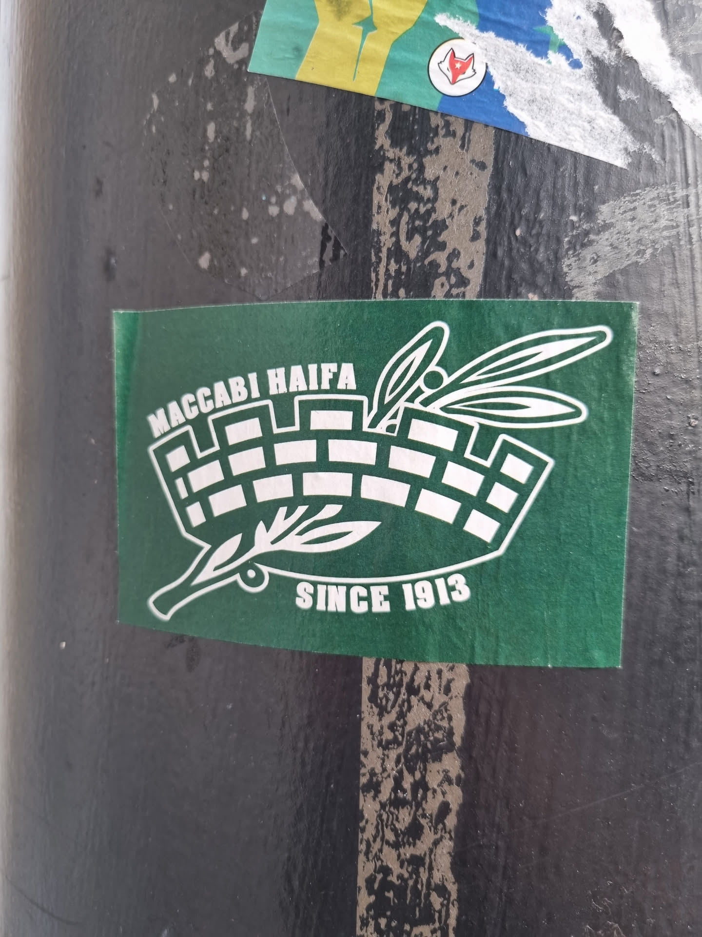 A green sticker with a white logo of Maccabi Haifa, featuring a stylized stadium and olive branch. The text 'Maccabi Haifa' and 'Since 1913' is present on the sticker.