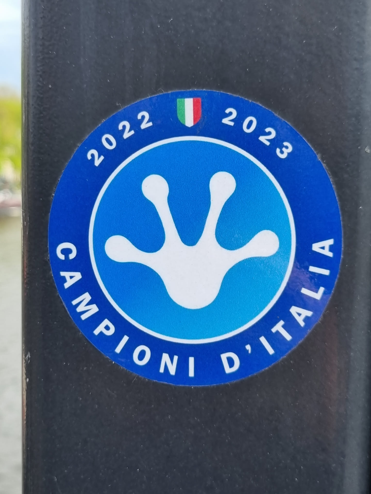 A blue circular sticker with a white gecko footprint in the center.  The text "CAMPIONI D'ITALIA" is written around the footprint. The years 2022 and 2023 are written on the top, with an Italian flag in the middle.