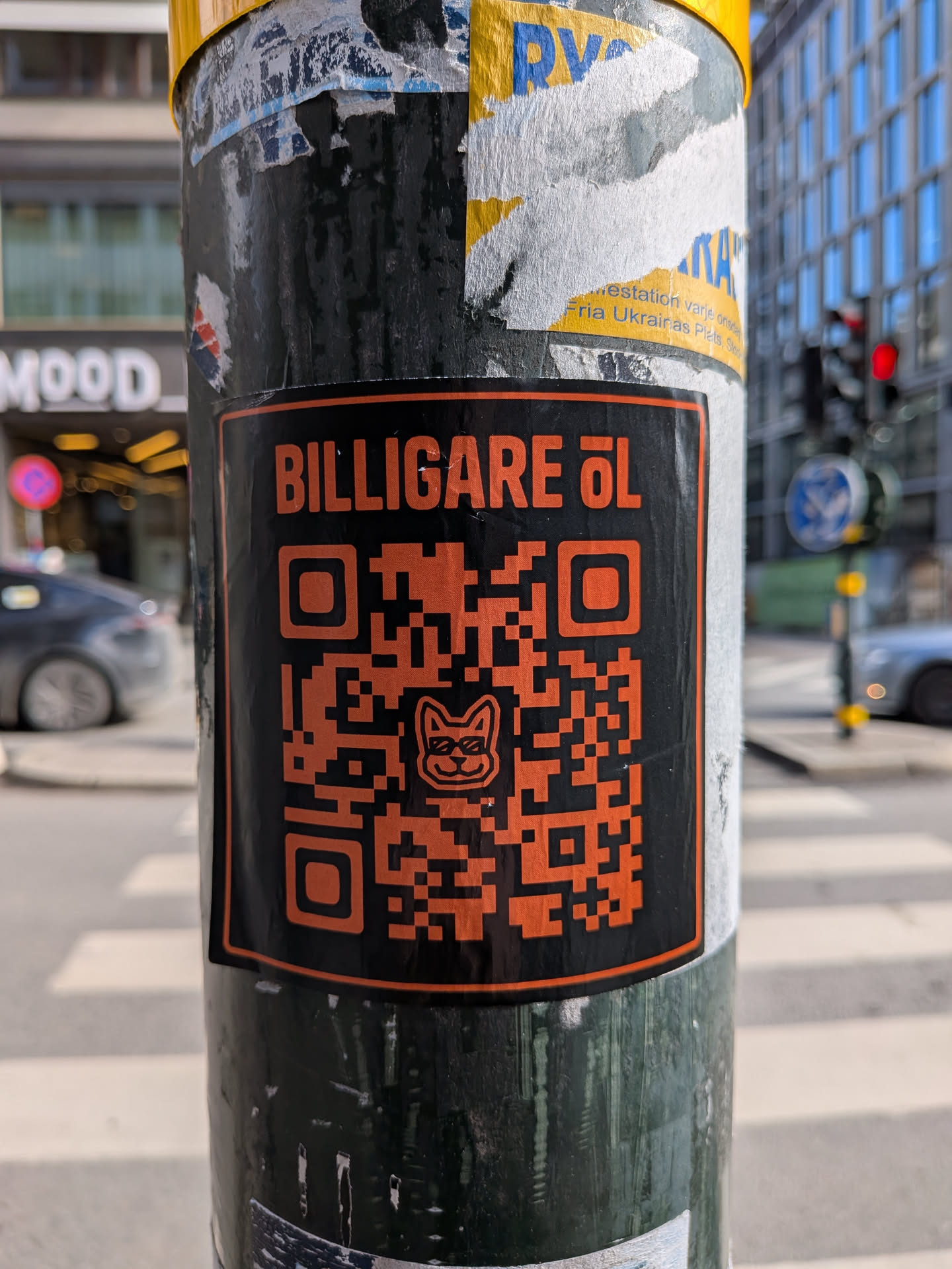 A rectangular sticker with a black background and vibrant orange elements. At the top, the text "BILLIGARE ÖL" is prominently displayed in uppercase orange letters. Below the text, a large QR code dominates the center of the sticker, also rendered in orange pixels against the black background. Embedded within the QR code, near its center, is a stylized orange outline of a cat's head wearing sunglasses, adding a playful and distinctive touch. The sticker has a clean, modern design with a clear call to action.