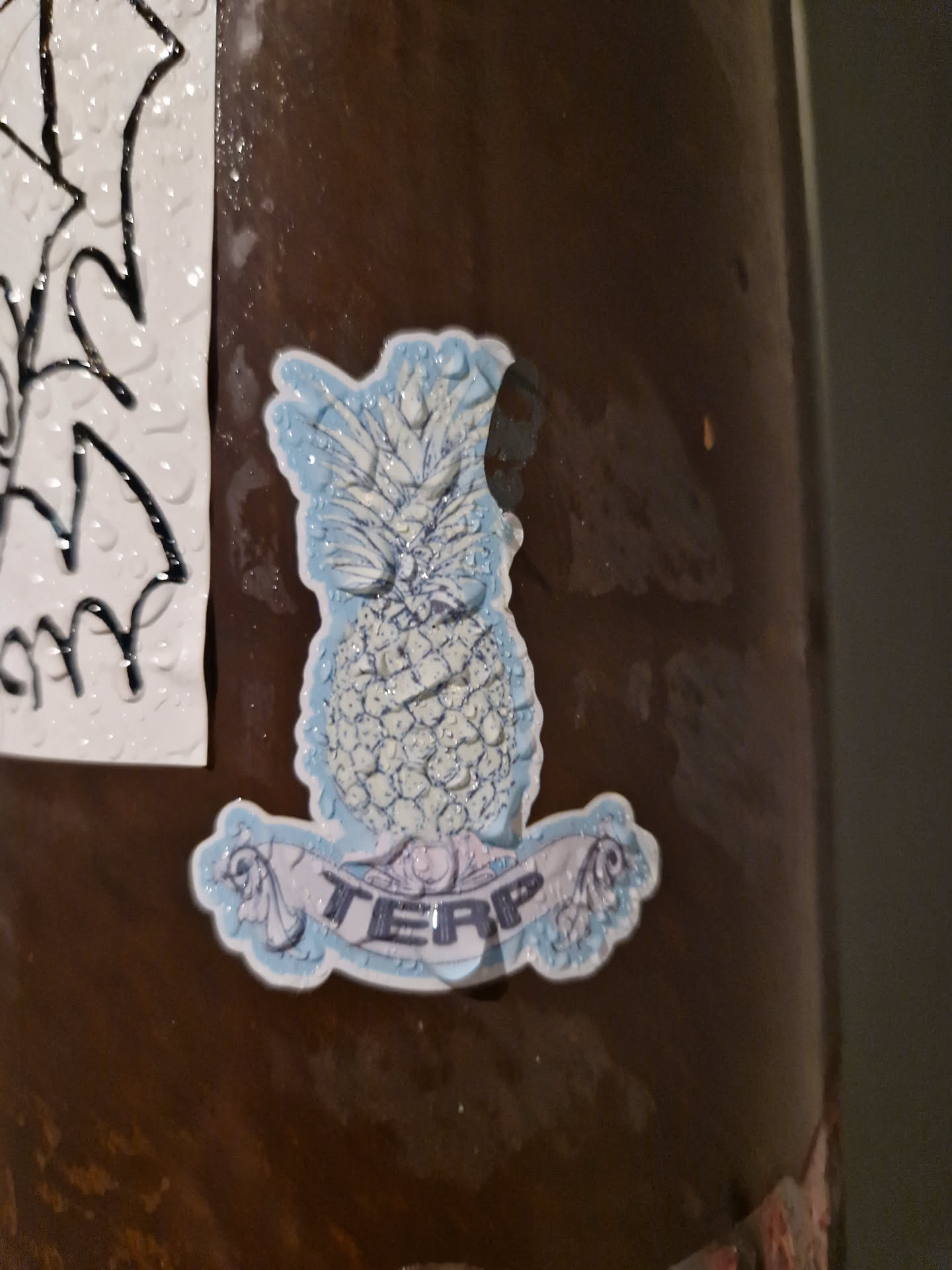 A sticker featuring a detailed illustration of a pineapple with the word "TERP" written on a banner below it. The style is reminiscent of vintage botanical prints, with delicate line work and shading. The pineapple appears to be stylized with water droplets or a similar texture. The sticker is affixed to a brown surface.