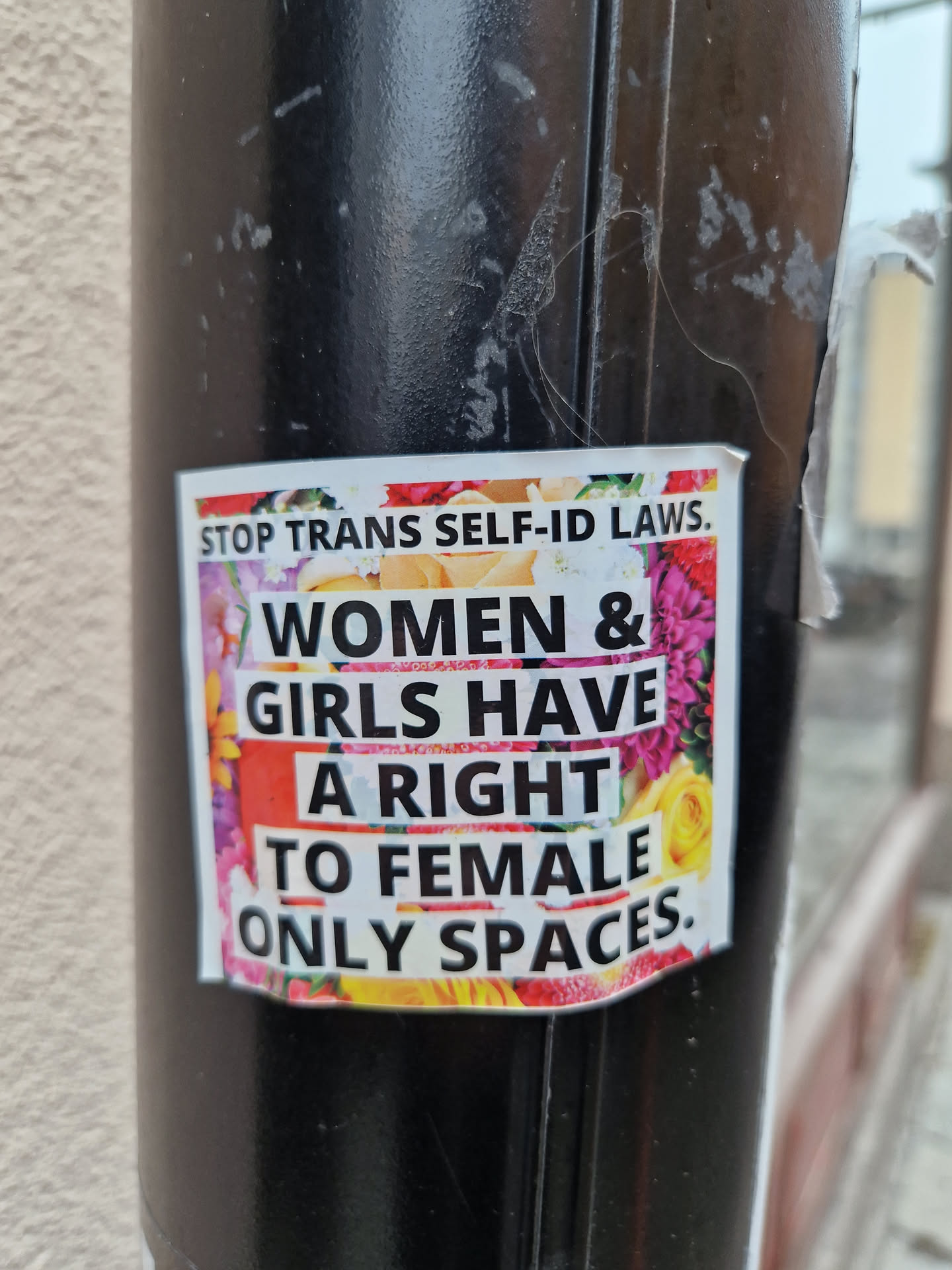 A sticker with a floral design advocating for women's rights and against trans self-ID laws. The sticker features bold text on a background of colorful flowers.