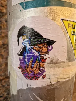 A sticker featuring an illustration of a witch holding a potion bottle. The text on the sticker says "La Bruja" and "DIY Hair Dye".  The witch has purple hair and green fingernails. The potion is purple.