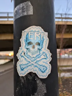 A sticker depicting a skull and crossbones with the acronym TERF written above. The skull and bones are light blue, set against a white background with a jagged, lightning-like border. The sticker is affixed to a dark-colored pole.