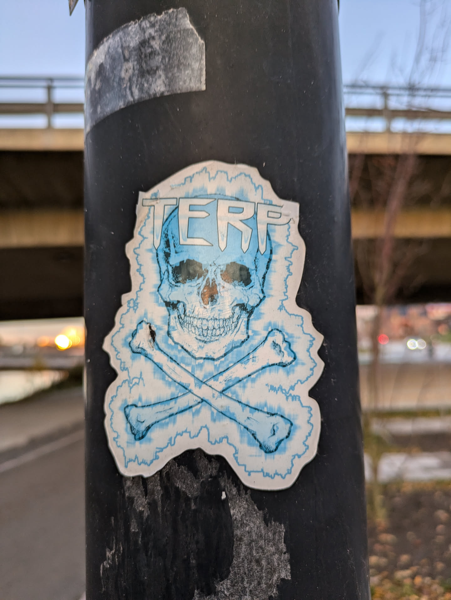 A sticker depicting a skull and crossbones with the acronym TERF written above. The skull and bones are light blue, set against a white background with a jagged, lightning-like border. The sticker is affixed to a dark-colored pole.