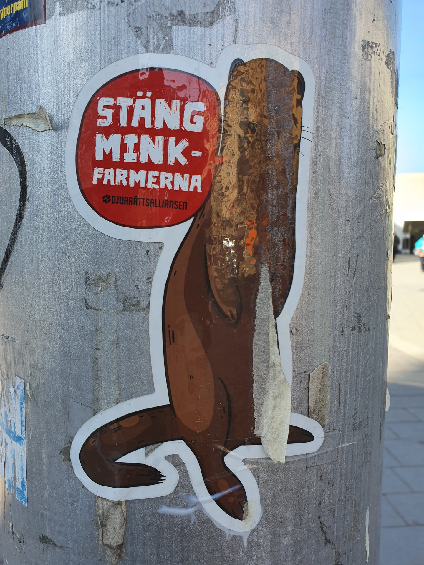 A sticker featuring an otter and the text "Stäng mink-farmerna" (Close the mink farms) in Swedish.  The sticker also includes a small logo that looks like a paw print.