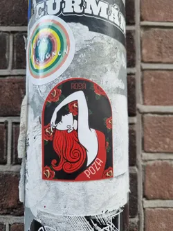 A sticker featuring an illustration of a woman with long red hair, styled in a vintage manner. The background is black with red roses. The text 'ROSA' is at the top and 'POZA' at the bottom. 