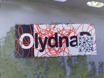 A sticker with the word "olydna" written in black letters on a white background. The background also has red squiggly lines.  There's a QR code in the bottom right corner, and a website address is visible below it.