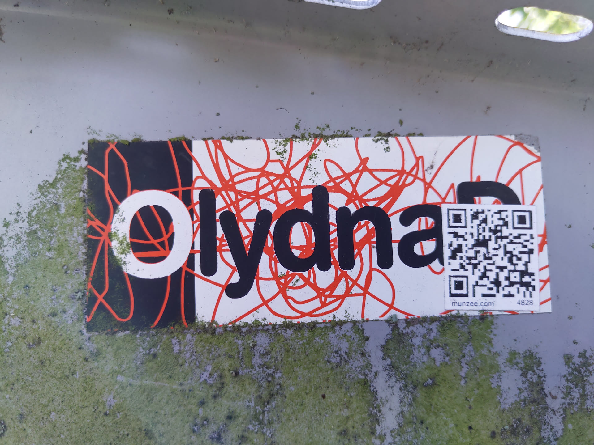 A sticker with the word "olydna" written in black letters on a white background. The background also has red squiggly lines.  There's a QR code in the bottom right corner, and a website address is visible below it.