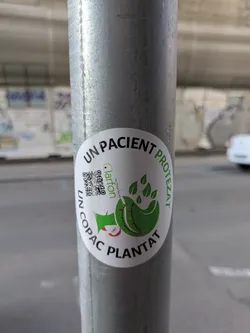 The image shows a round sticker adhered to a gray pole. The sticker features a whimsical illustration of a green tree being "protected" by an arm. A QR code is in the top left of the sticker. The sticker reads "Un pacient protezat" and "Un copac plantat". It aims to promote tree planting and conservation.