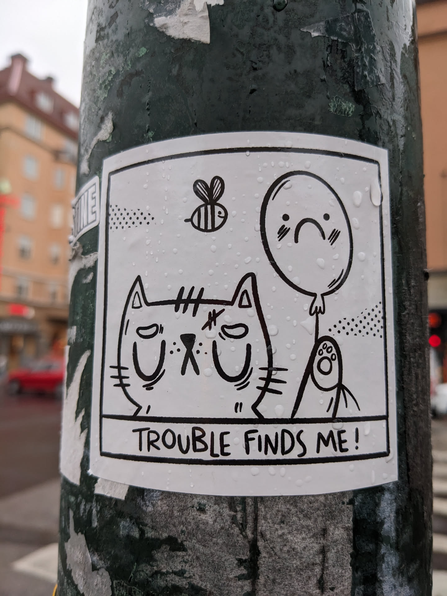 A black and white sticker featuring a cartoon cat, a sad balloon, and a bee. The text 'Trouble finds me!' is written at the bottom. The sticker is wet from the rain.
