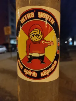A round sticker featuring a cartoon figure wearing a red hooded sweatshirt with a volleyball as a head.  The text "Ultra Youth" is at the top, with "Teen Spirit Köpenick" at the bottom. The year 2005 is also visible.