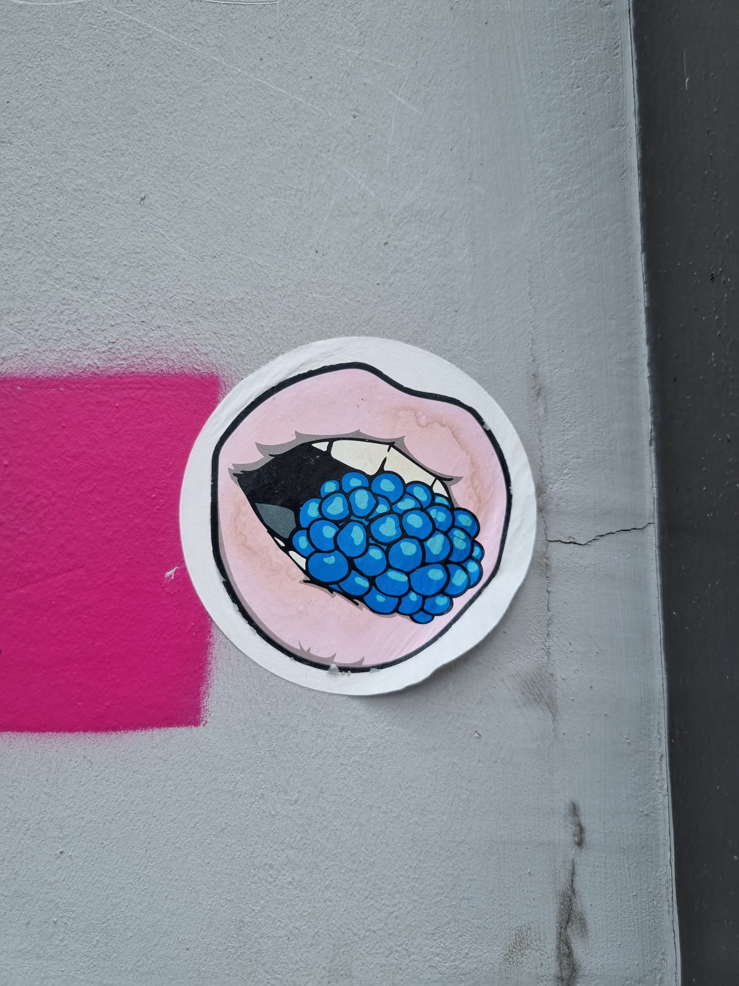 A round sticker depicting a mouth with pink lips and white teeth, eating a cluster of blue blackberries. The style is simple and cartoonish.