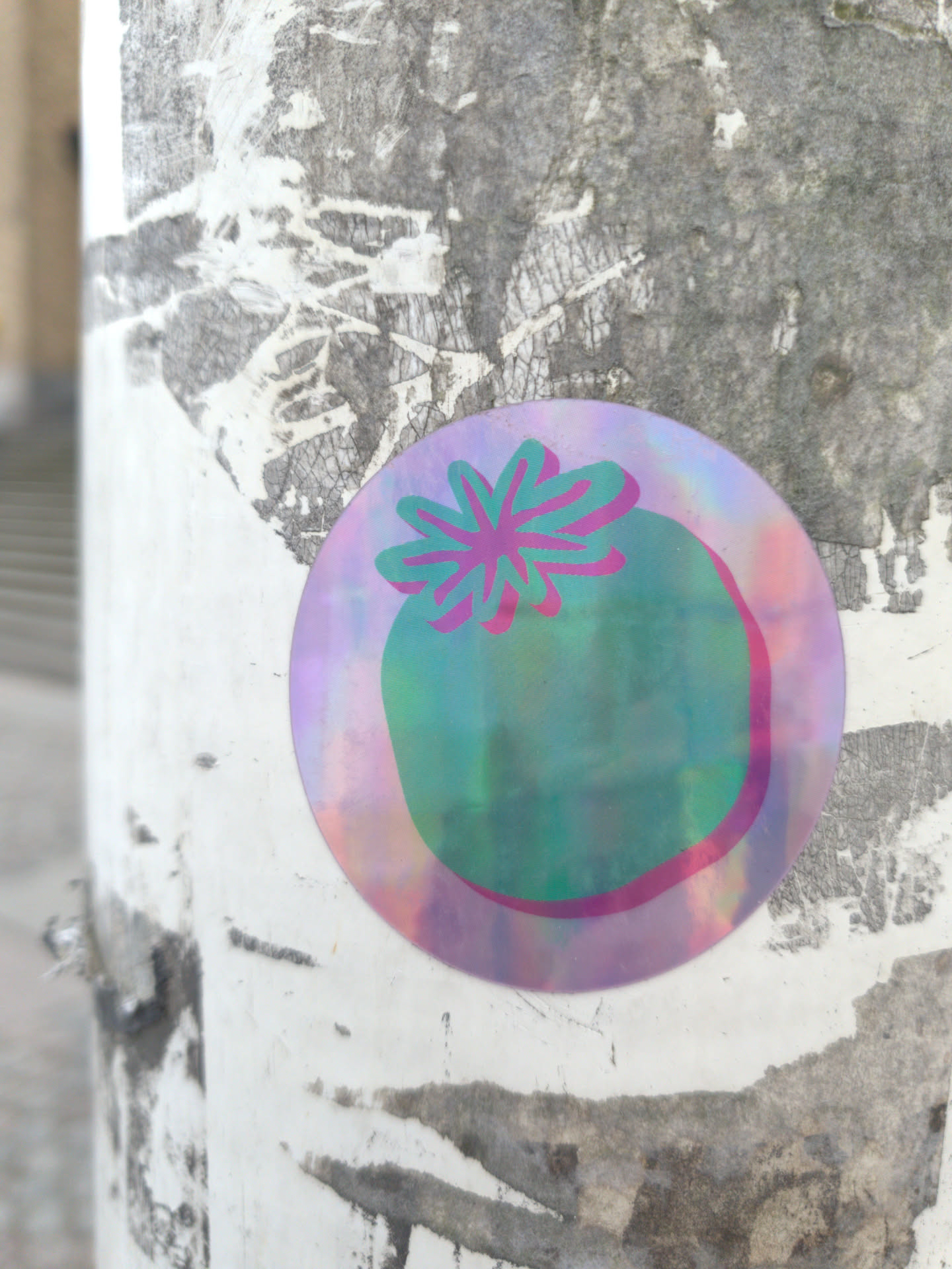 A round, iridescent sticker with a design of a teal fruit with a pink-purple flower on top. The sticker is affixed to a weathered white surface.
