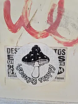 Round sticker featuring a black and white illustration of a mushroom with the text 'sdonas trippy' surrounding it. The sticker is affixed to a wall with other graffiti.