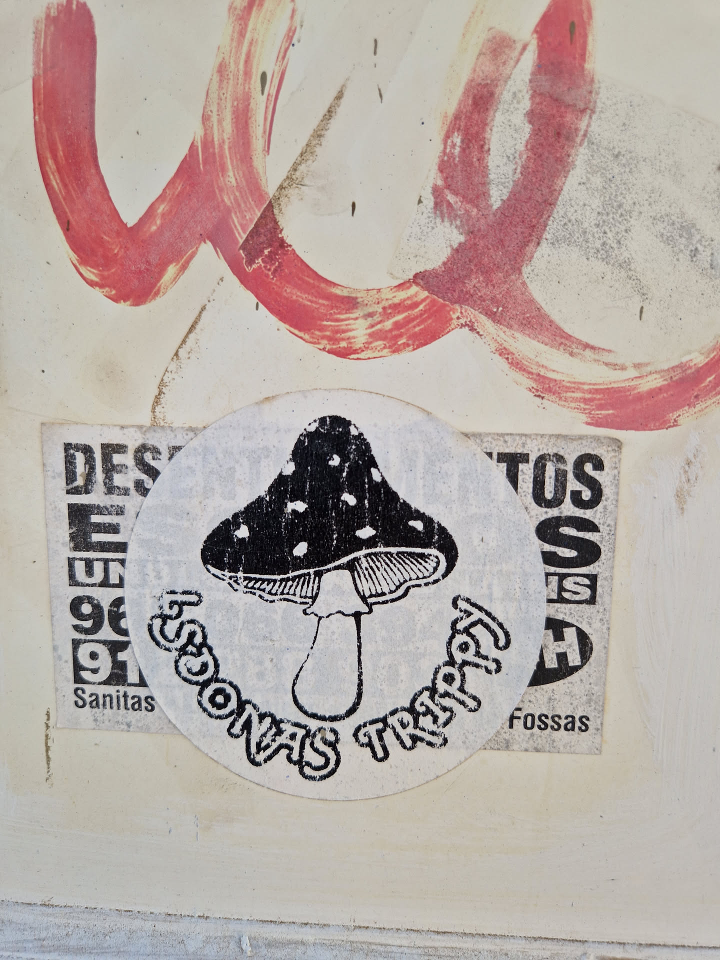 Round sticker featuring a black and white illustration of a mushroom with the text 'sdonas trippy' surrounding it. The sticker is affixed to a wall with other graffiti.