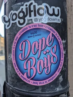 Round sticker with a blue background and pink text. It says Dope Boy$ in a stylized font. The text around the circle says Crewlove is true love. The number 4400 and the text Born x Raised are written above the main text.