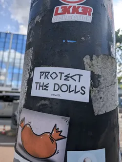 Street sticker This is a sticker found on a pole with the message "PROTECT THE DOLLS" in bold, stencil-like letters. Below this message is the handle "@KWEIR_". The sticker is white with black text.